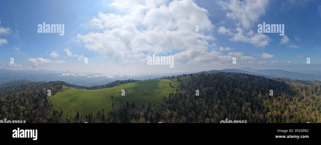 Una vista aerea panoramica ultra ampia da un'altezza di quasi 1.500 metri cattura il paesaggio esteso di prati alpini e foreste di conifere del sud Foto Stock