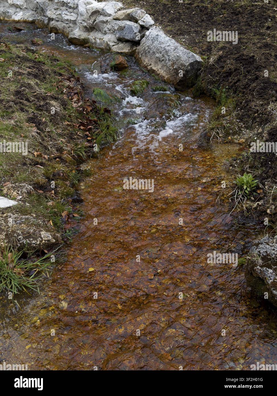 Gebirgsbach Foto Stock