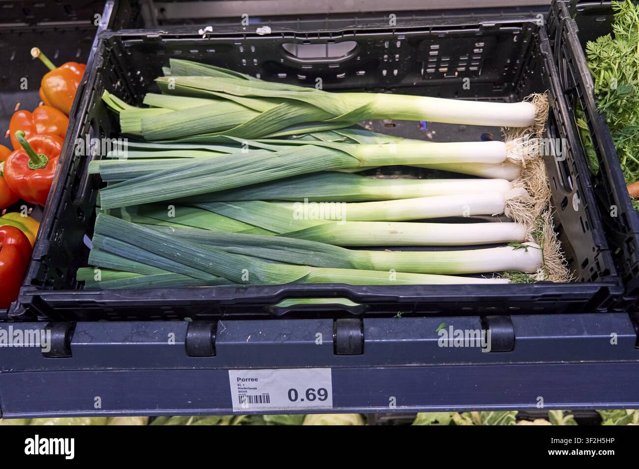 Bacchette di porro fresche con l'estremità della radice come verdure negli scaffali della verdura nei negozi di supermercato, prodotto, Aldi Nord, Germania Foto Stock