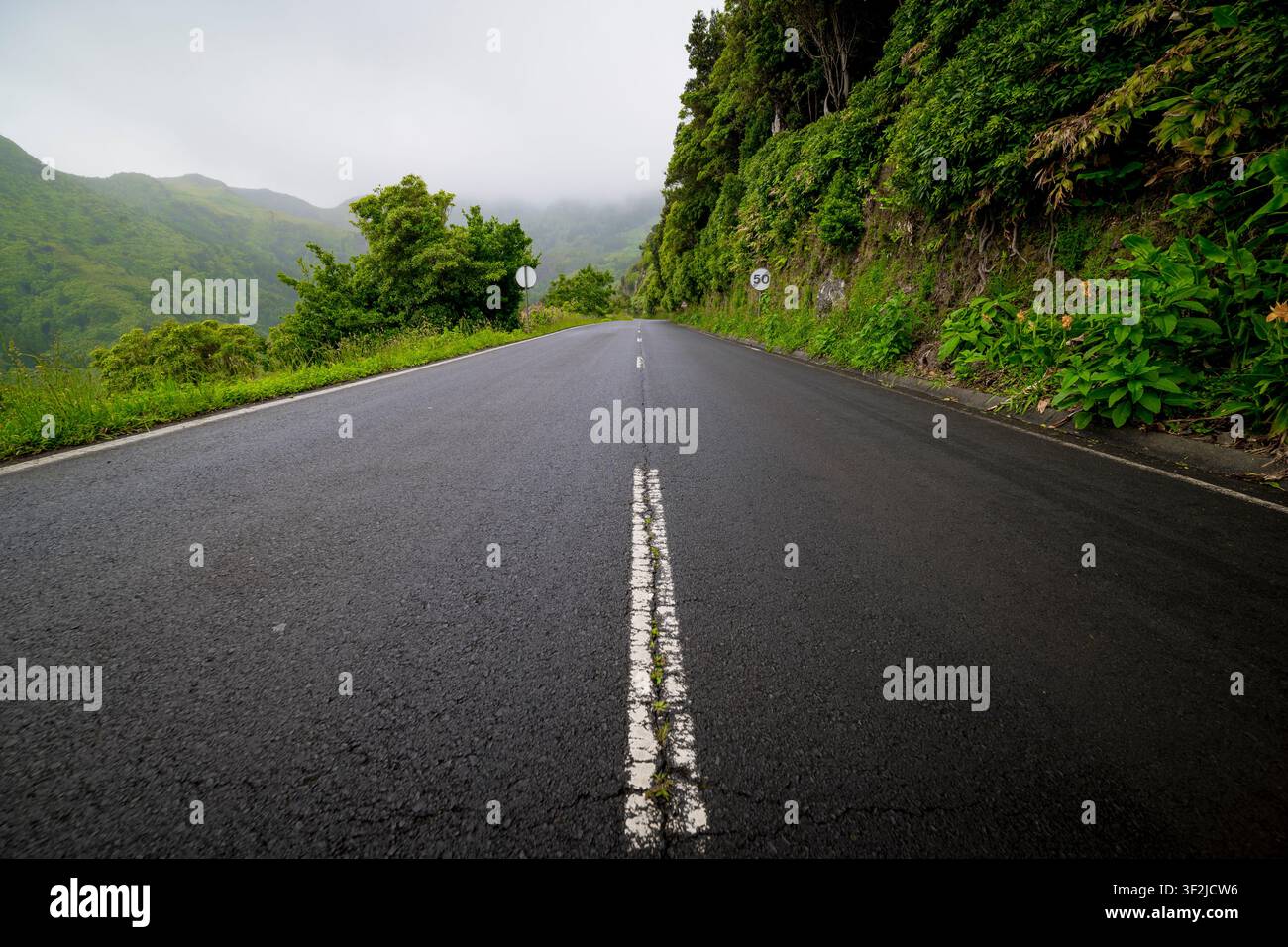 Strada vuota attraverso il paesaggio dell'isola di Flores, Azzorre Foto Stock