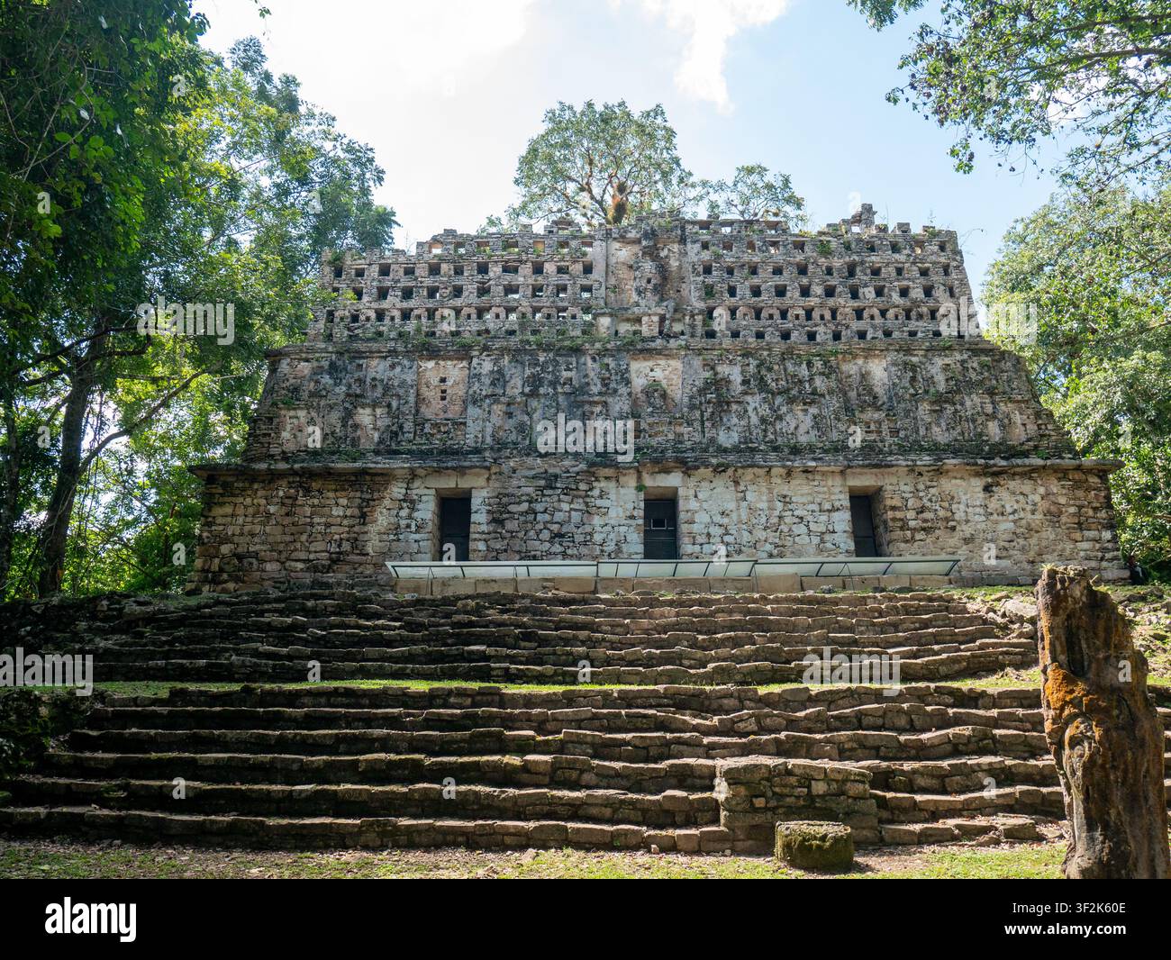 Antico tempio Maya in pietra con cresta del tetto e scale nascoste nella lussureggiante giungla tropicale verde sotto un cielo blu soleggiato che rappresenta l'esplorazione storica Foto Stock