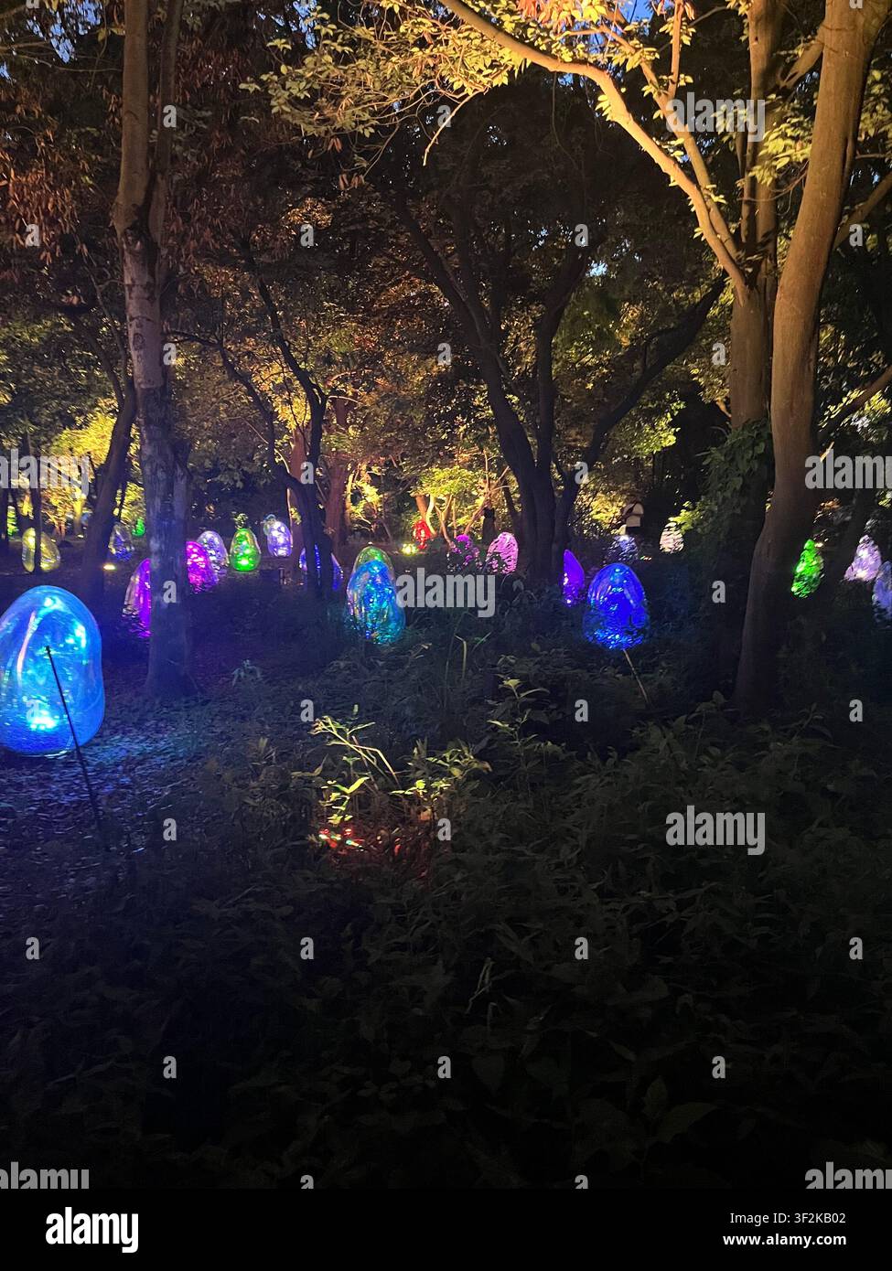20 luglio 2023, Osaka, Giappone – Installazioni artistiche colorate a forma di uovo illuminano un sentiero boschivo buio di notte durante un evento di arte luminosa a Osaka. - Immagine stock catturata con smartphone