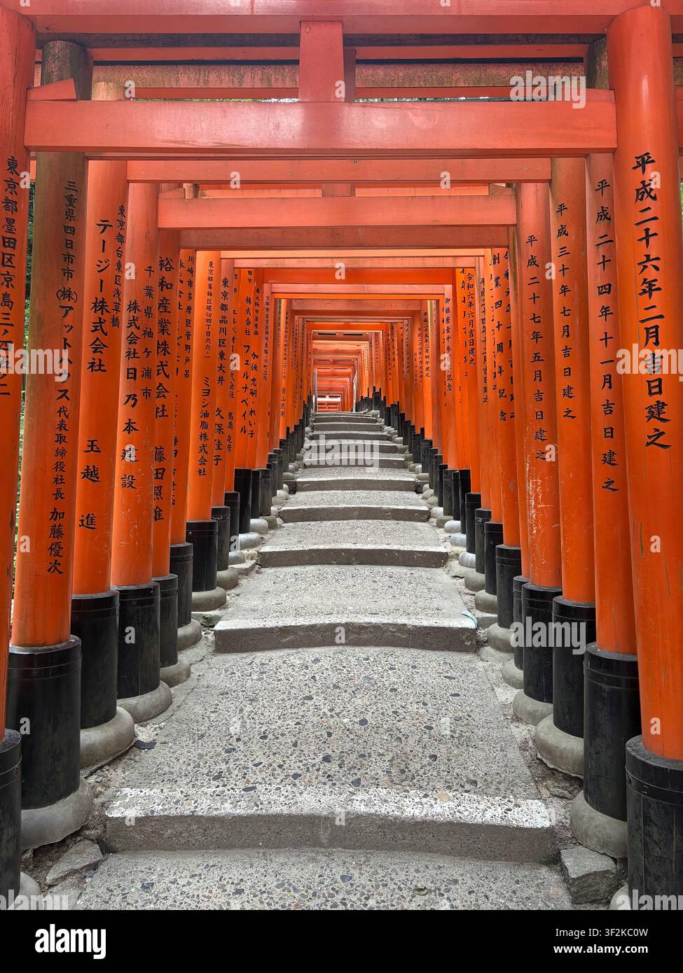 1 agosto 2025, Kyoto, Giappone – Vista diagonale a basso angolo di un corridoio di porte torii rosse al santuario di Fushimi Inari Taisha, iscrizioni kanji giapponesi visibili sulle colonne. - Immagine stock catturata con smartphone