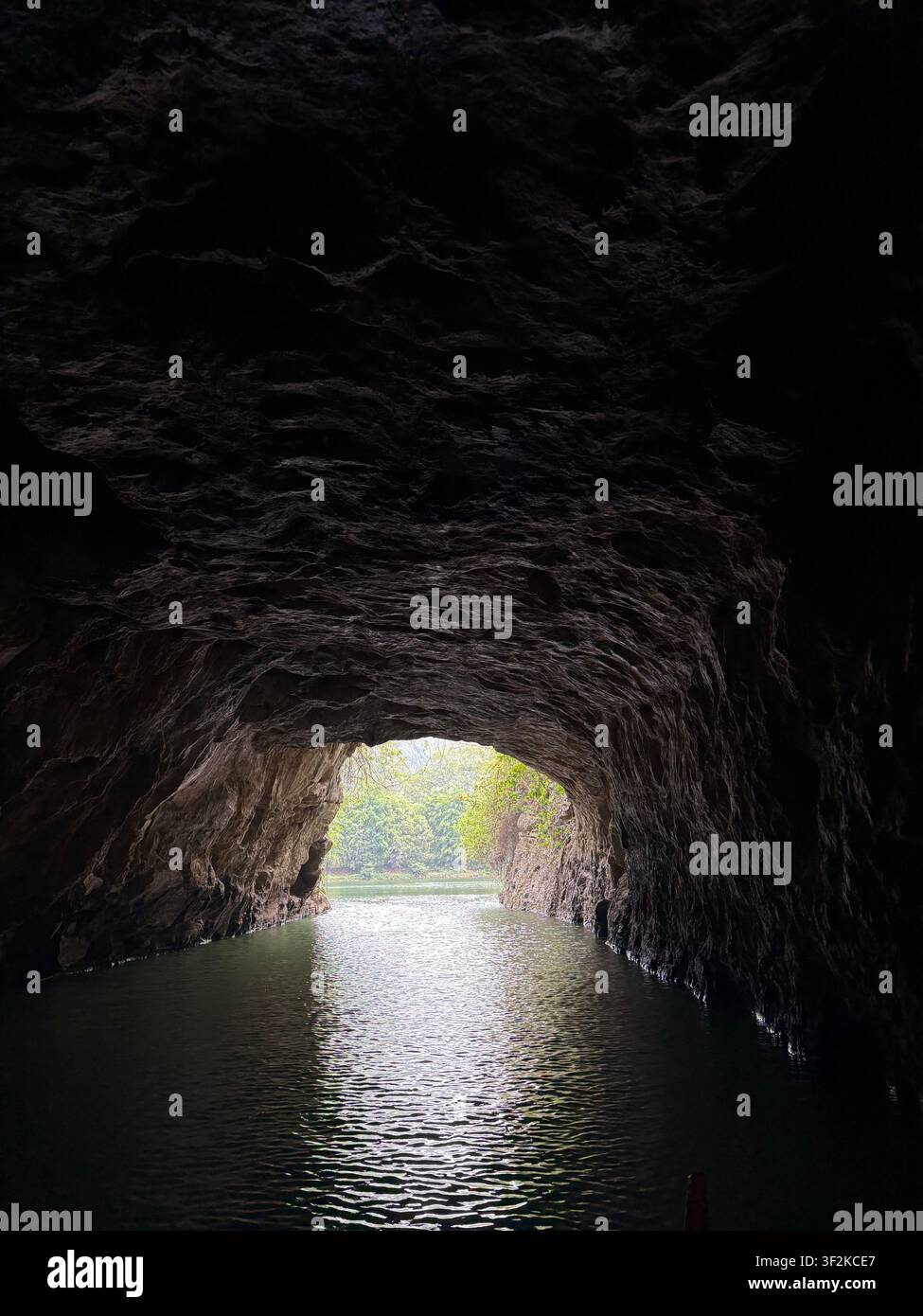 Vista dall'interno di un tunnel di grotta in calcare scuro verso un'apertura naturale luminosa con vegetazione verde lussureggiante, Tay Hoa Lu, provincia di Ninh Binh, Vietnam. - Immagine stock catturata con smartphone
