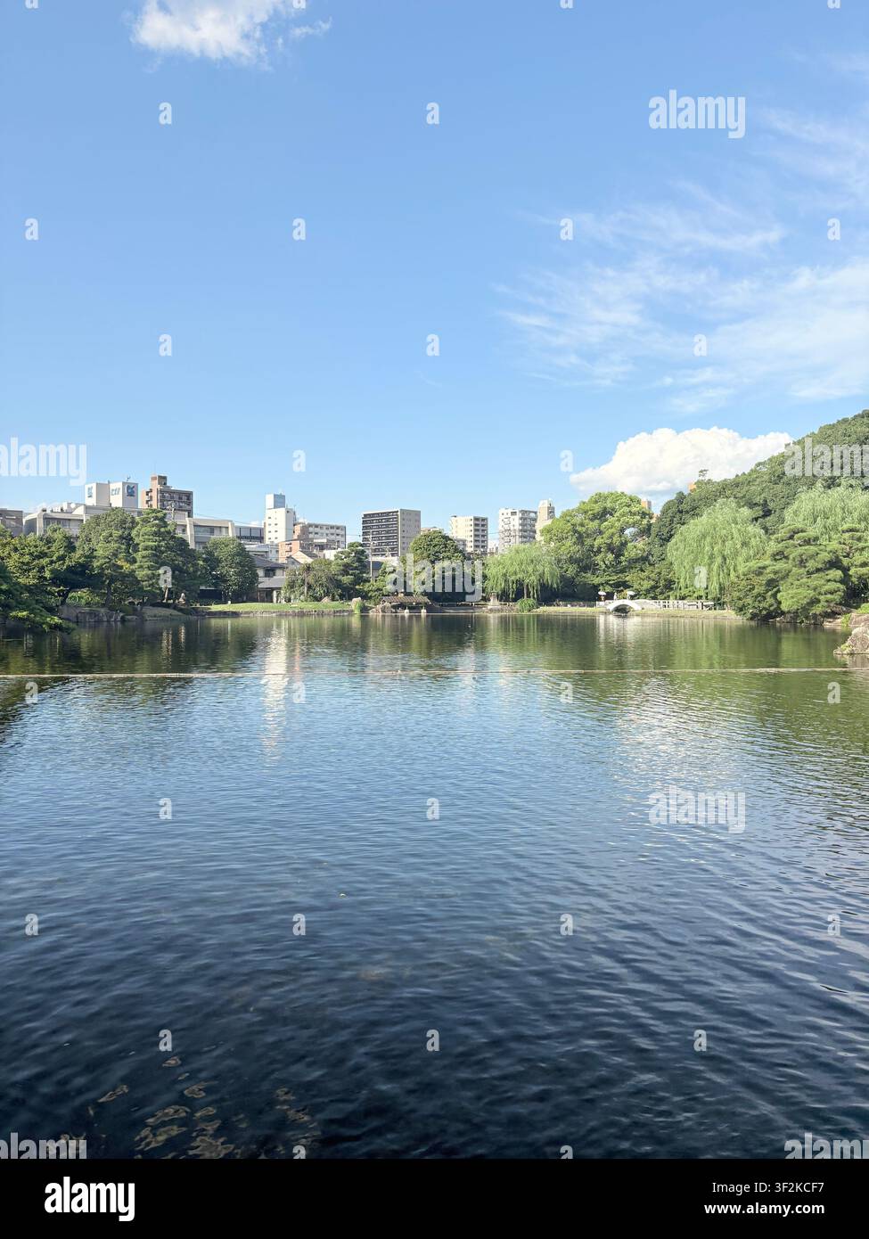 Vista del lungofiume a Nagoya, Giappone, con alberi rigogliosi, edifici cittadini e cielo azzurro con nuvole in una giornata estiva soleggiata. - Immagine stock catturata con smartphone