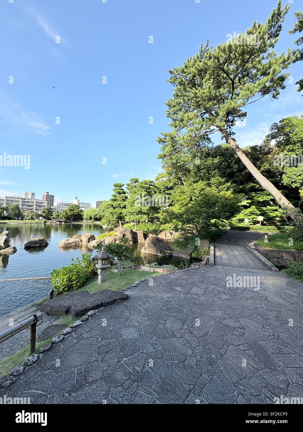Giardino giapponese tradizionale con pavimentazione in pietra, rocce decorative, stagno e pini in contrasto con gli edifici moderni della città sullo sfondo, Nagoya, Giappone. - Immagine stock catturata con smartphone