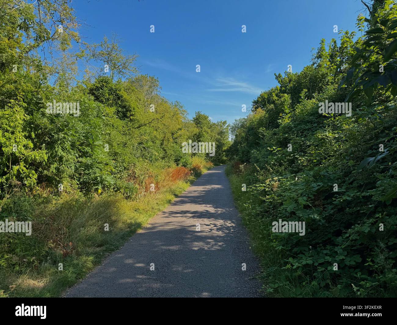Pista ciclabile che passa sotto un arco di pietra storico Foto Stock