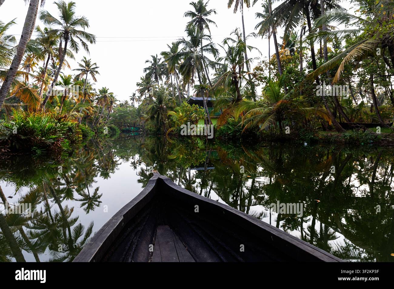 Prima di una barca tradizionale in legno che scivola attraverso stretti canali circondati da lussureggiante vegetazione tropicale nei backwater del Kerala, in India. Foto Stock