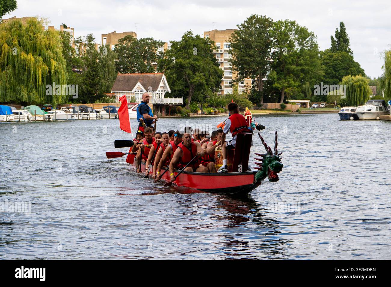 Squadra di dragon boat in gara sul fiume durante una competizione, con i rematori che indossano giubbotti di salvataggio rossi, un tamburino a prua e un timoniere a poppa. Foto Stock