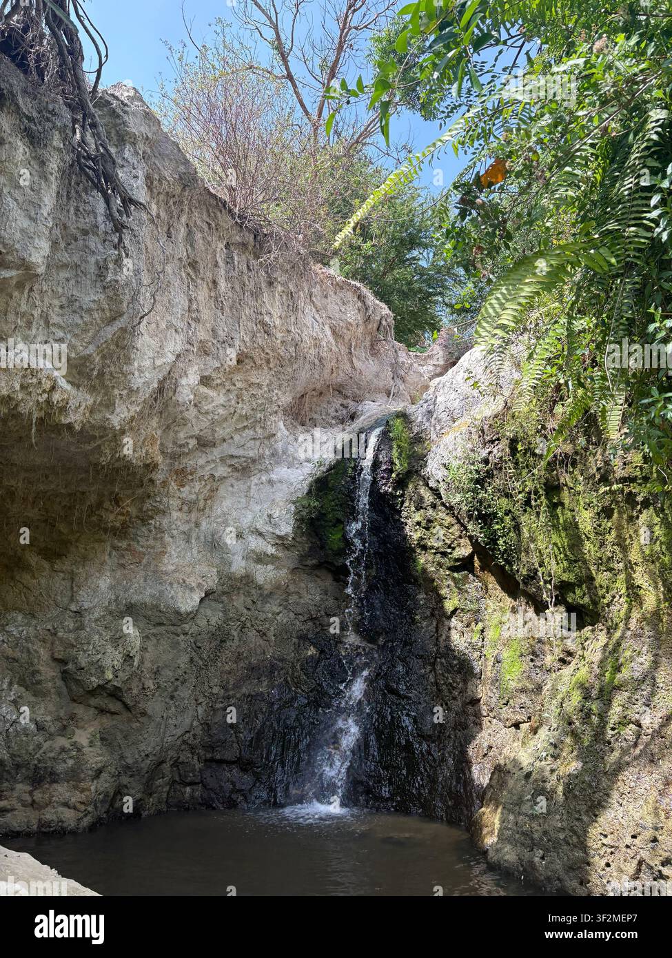 Vista ad angolo basso di una scogliera di calcare ricoperta di muschio con acqua in cascata e vegetazione tropicale, provincia di Lam Dong, Alti Pianuri del Centro del Vietnam Foto Stock