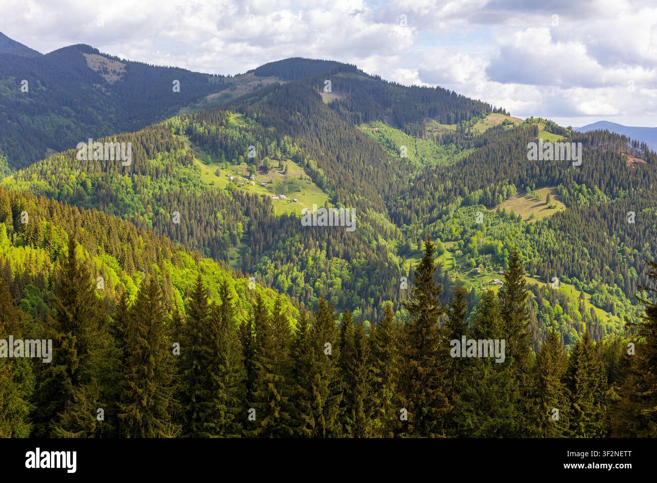 Montagne boschive illuminate dal sole e valli verdi. Vista ampia di pendici montuose densamente boschive con radure verdi illuminate dal sole, case rurali sparse, stratificate Foto Stock