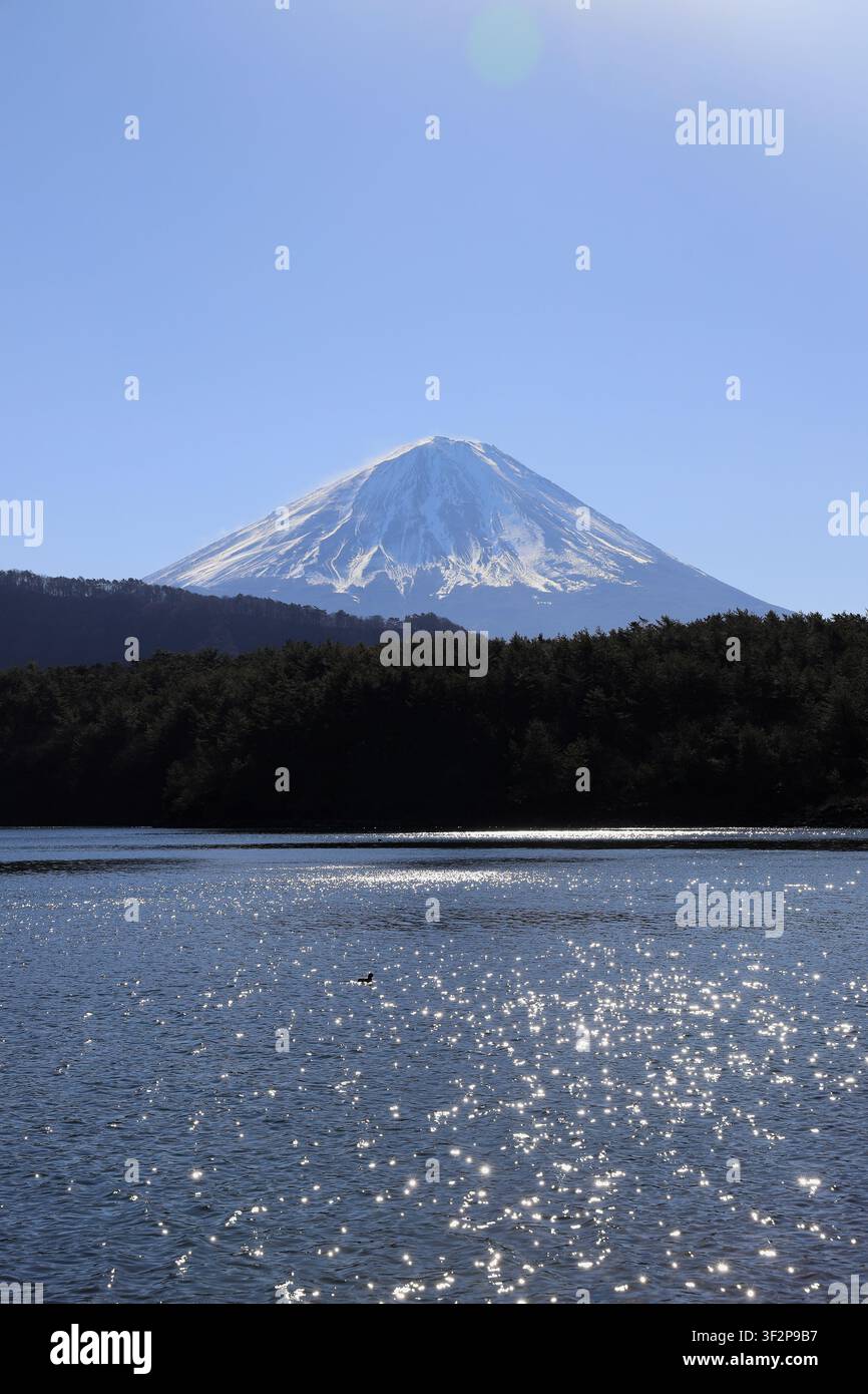 Mt. Fuji, vista dal lago occidentale, Yamanashi, Giappone (inverno) Foto Stock