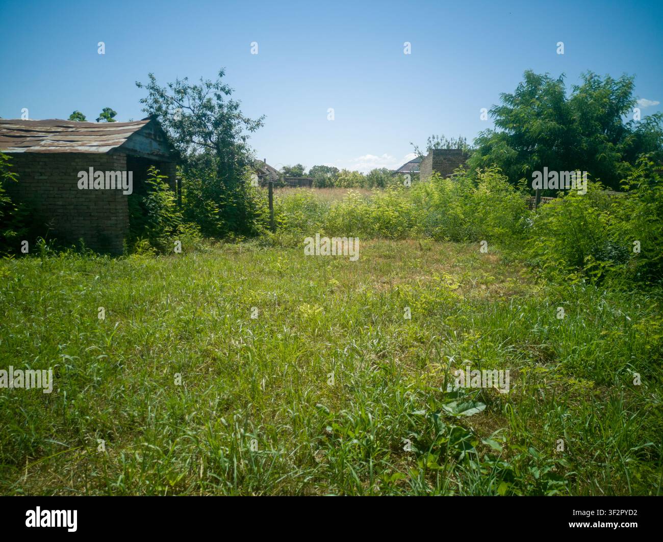 Ampio appezzamento erboso invaso dalla vegetazione in un villaggio rurale, vista scenografica di un terreno agricolo vacante con un vecchio capannone rustico in mattoni sotto un cielo azzurro. Foto Stock