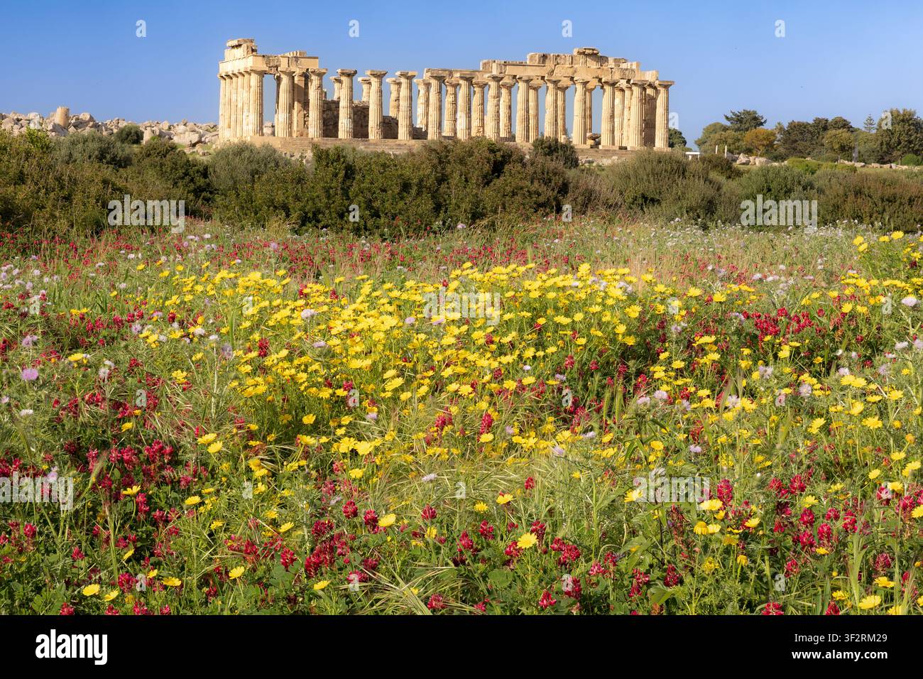 Tempio E, Tempio di Era, + fiori selvatici, Parco Archeologico di Selinunte, Selinunte, Sicilia, Italia, è un tempio greco antico ben conservato. Foto Stock