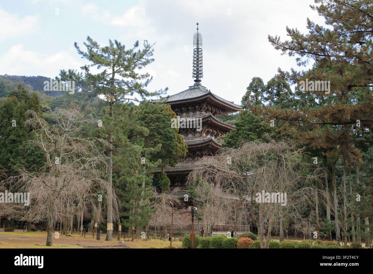 Pagoda a cinque piani del tempio Daigo a Kyoto, Giappone Foto Stock