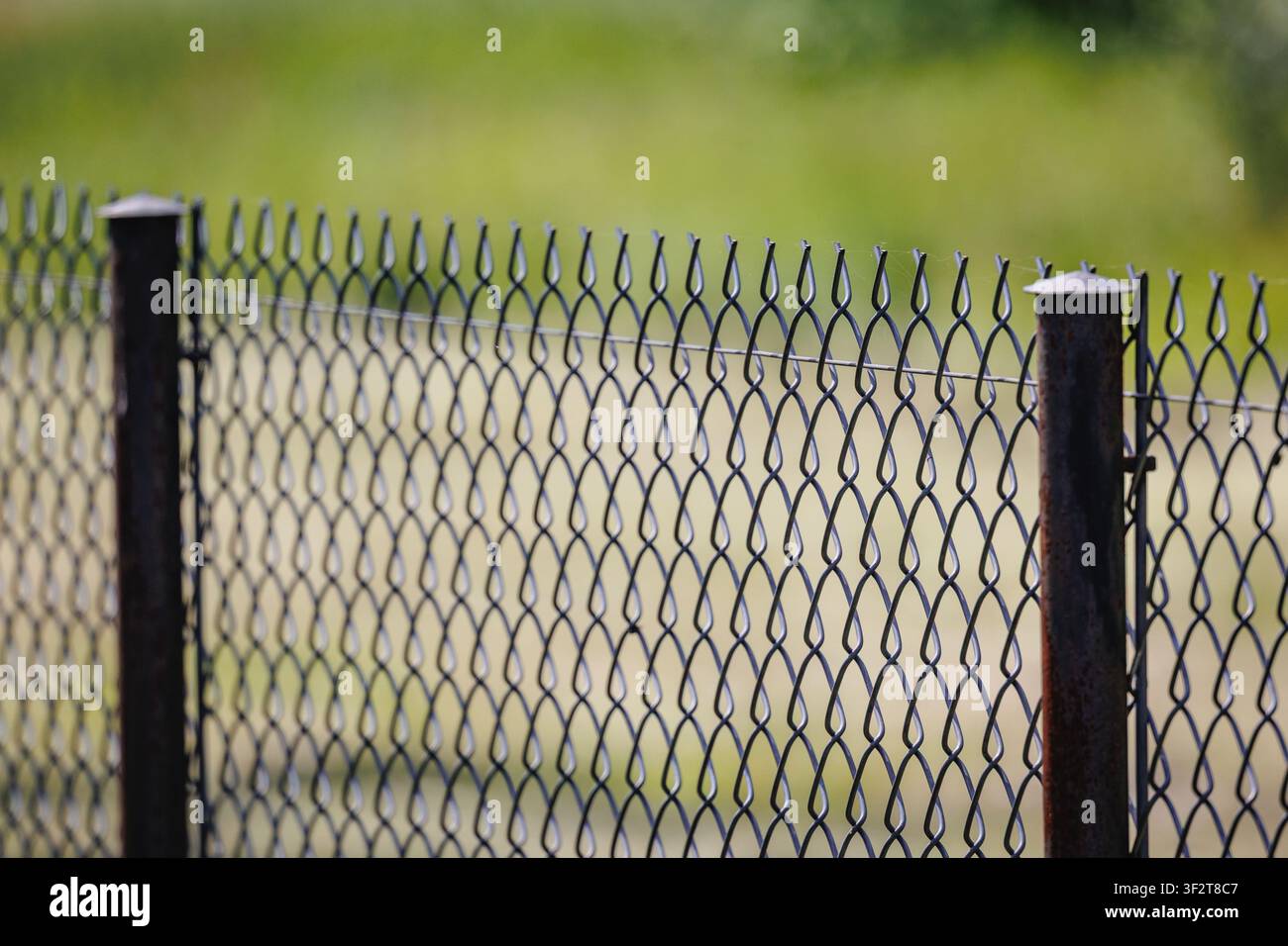 Una recinzione in rete metallica con pali di metallo davanti a un campo verde Foto Stock