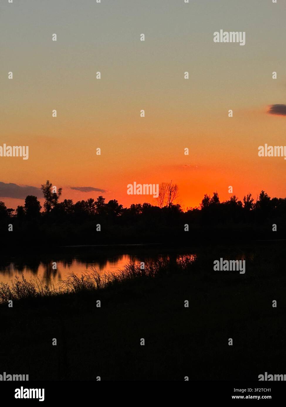 Un tramonto arancione drammatico che si riflette su un fiume tranquillo bordato da alberi e vegetazione naturale in Croazia. Ricchi colori serali e silhouette - Immagine stock catturata con smartphone