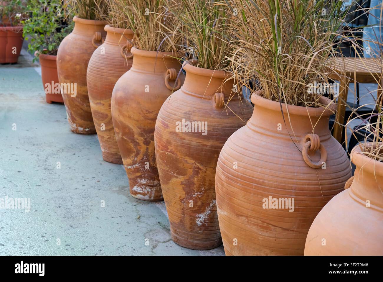 Grandi vasi di terracotta con erba ornamentale disposti all'aperto. Fioriere rustiche per giardino mediterraneo, design della terrazza. Foto Stock