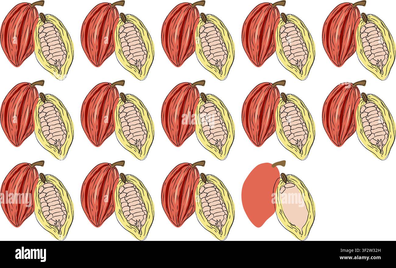 Illustrazioni senza cuciture di fave di cacao, set vettoriale pulito ideale per imballaggi, etichette e design del prodotto, illustrazione vettoriale di motivi di fave di cacao Illustrazione Vettoriale
