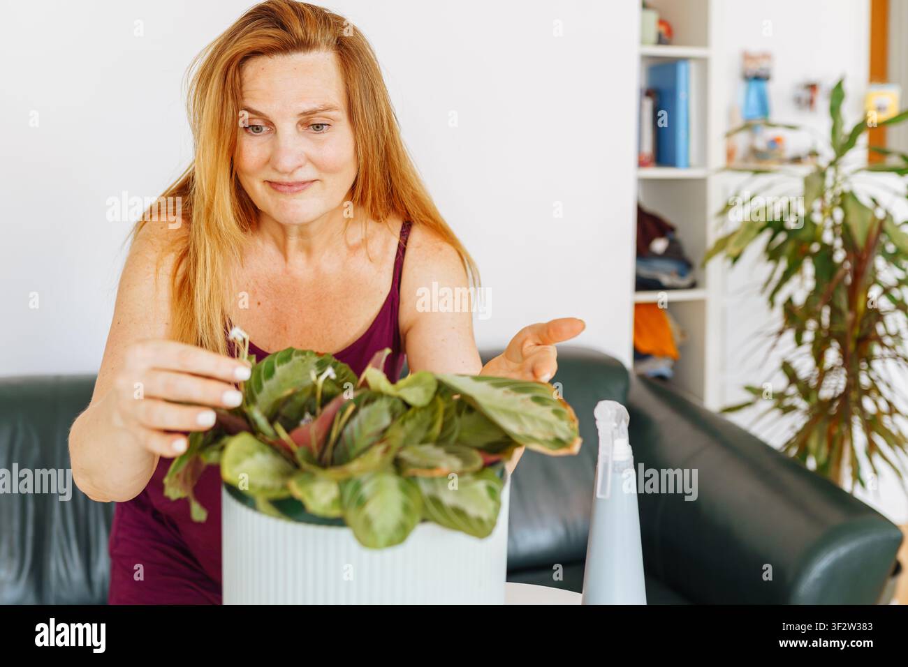 giardinaggio domestico per hobby Foto Stock