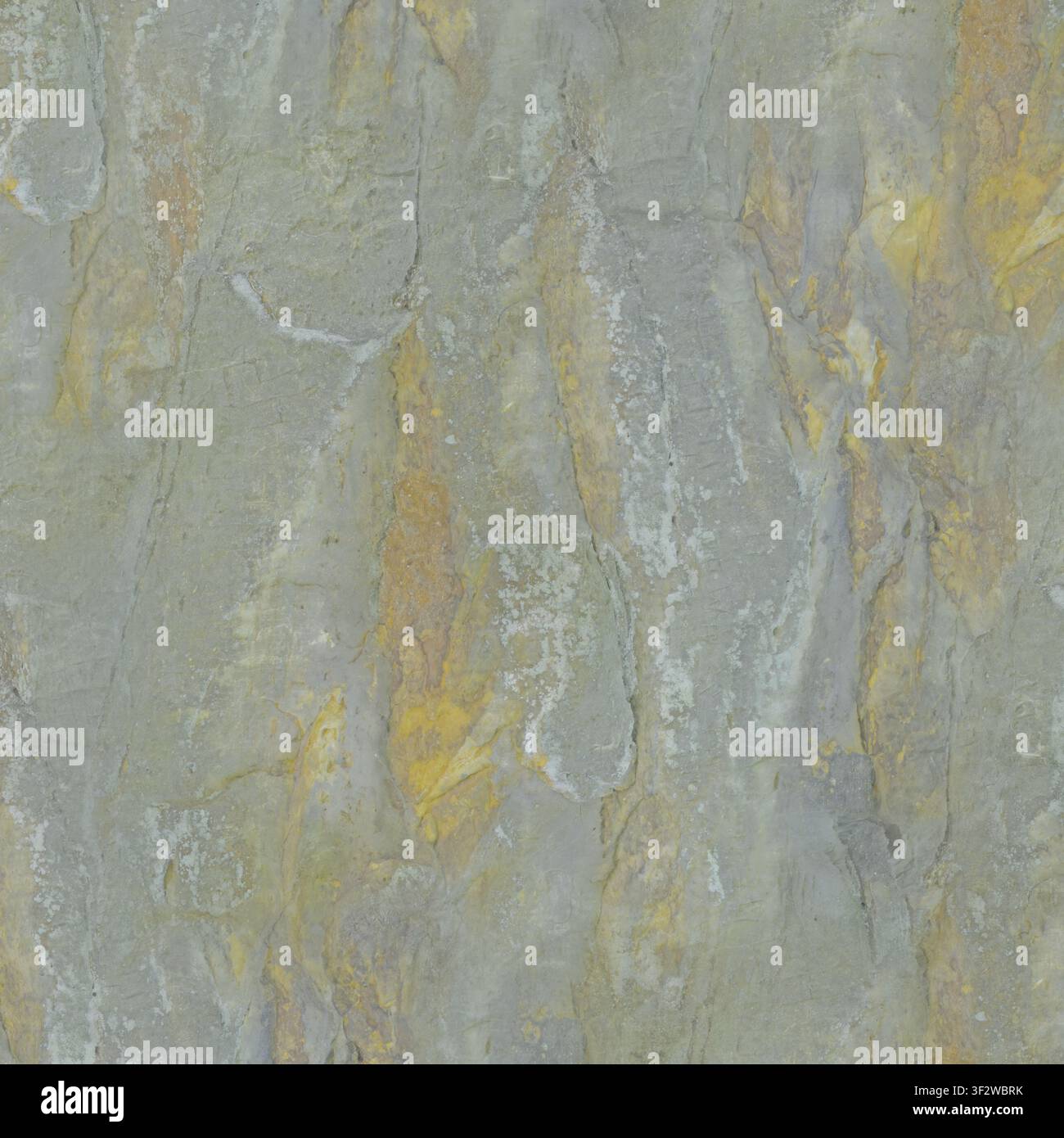 Una superficie piatta in pietra ardesia grigio chiaro con colorazione naturale in arenaria gialla e variazioni di texture sottili. Foto Stock