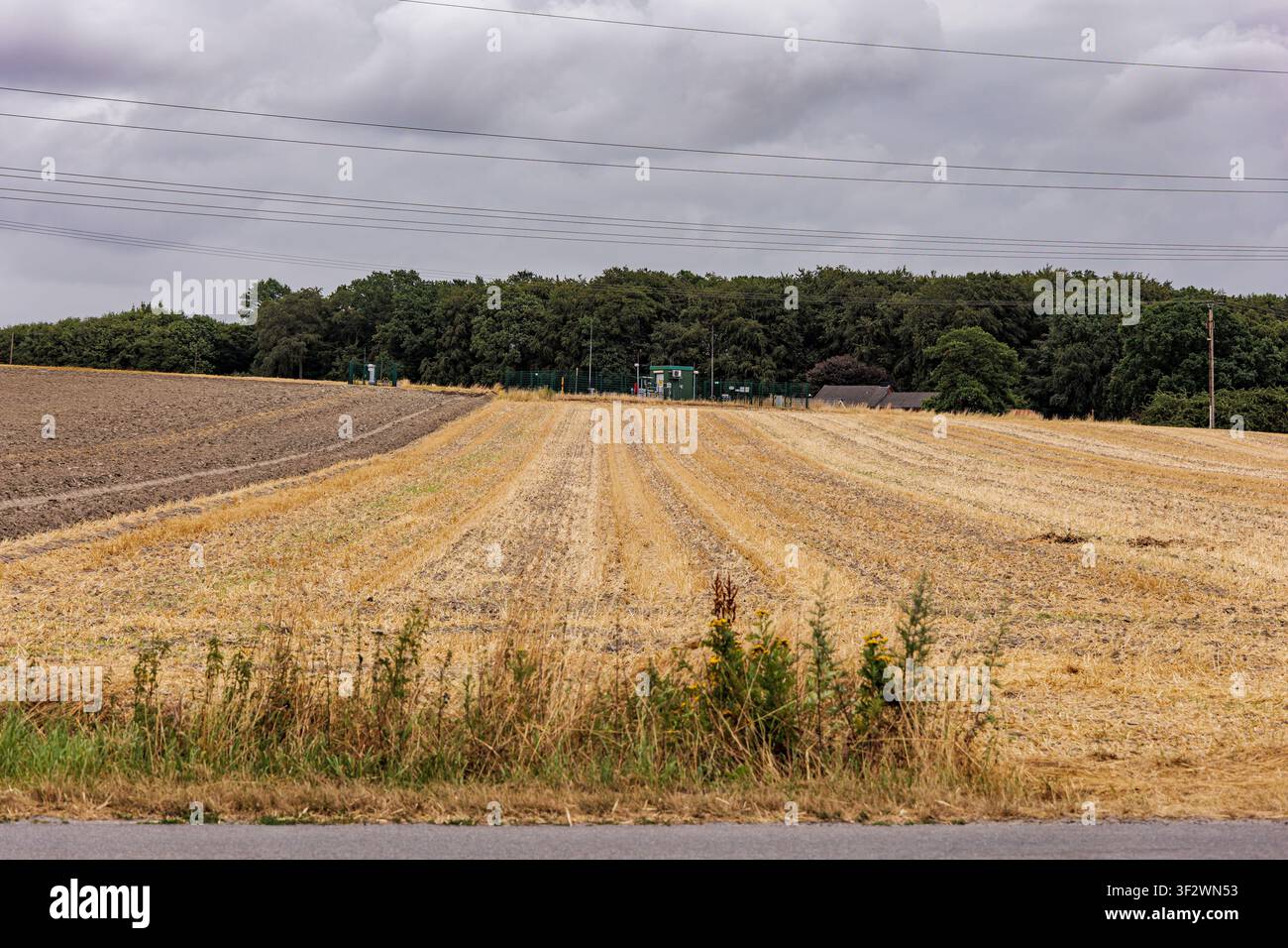 Paesaggio agricolo con campo di paglia dorata raccolto e un appezzamento arato sotto un cielo nuvoloso a Coesfeld, Germania Foto Stock