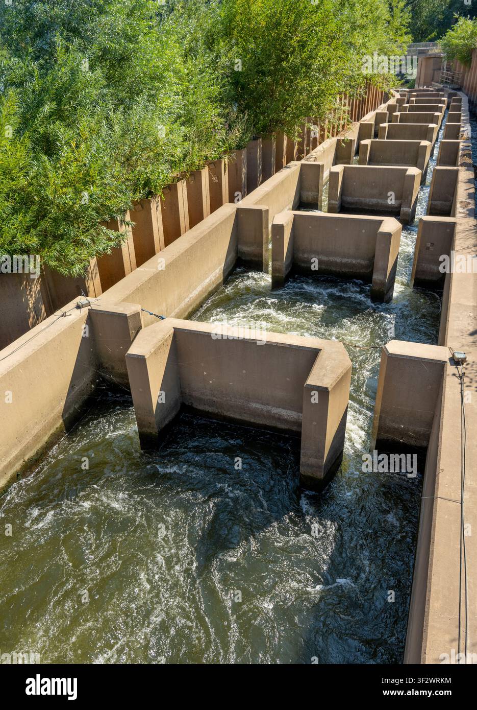 Una struttura ingegnosamente progettata che devia in sicurezza i pesci del fiume che passano accanto alla ripida e rapida diga di Diglis sul fiume Severn, riducendo la pendenza Foto Stock