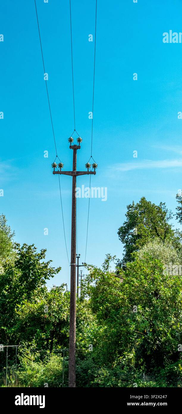 Palo di servizio in legno con linee elettriche aeree nella campagna del nord Italia Foto Stock