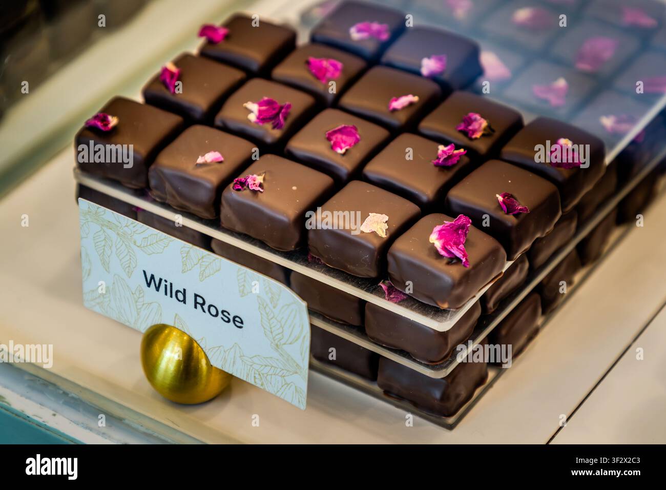 Cioccolatini ‚Wild Rose‘ con petali di rosa essiccati in esposizione da Rousseau Chocolatier su Hollis Street ad Halifax, Nuova Scozia, Canada. La pasticceria ha vinto diversi premi internazionali, tra cui uno dall’Academy of Chocolate di Londra nel 2025 Foto Stock
