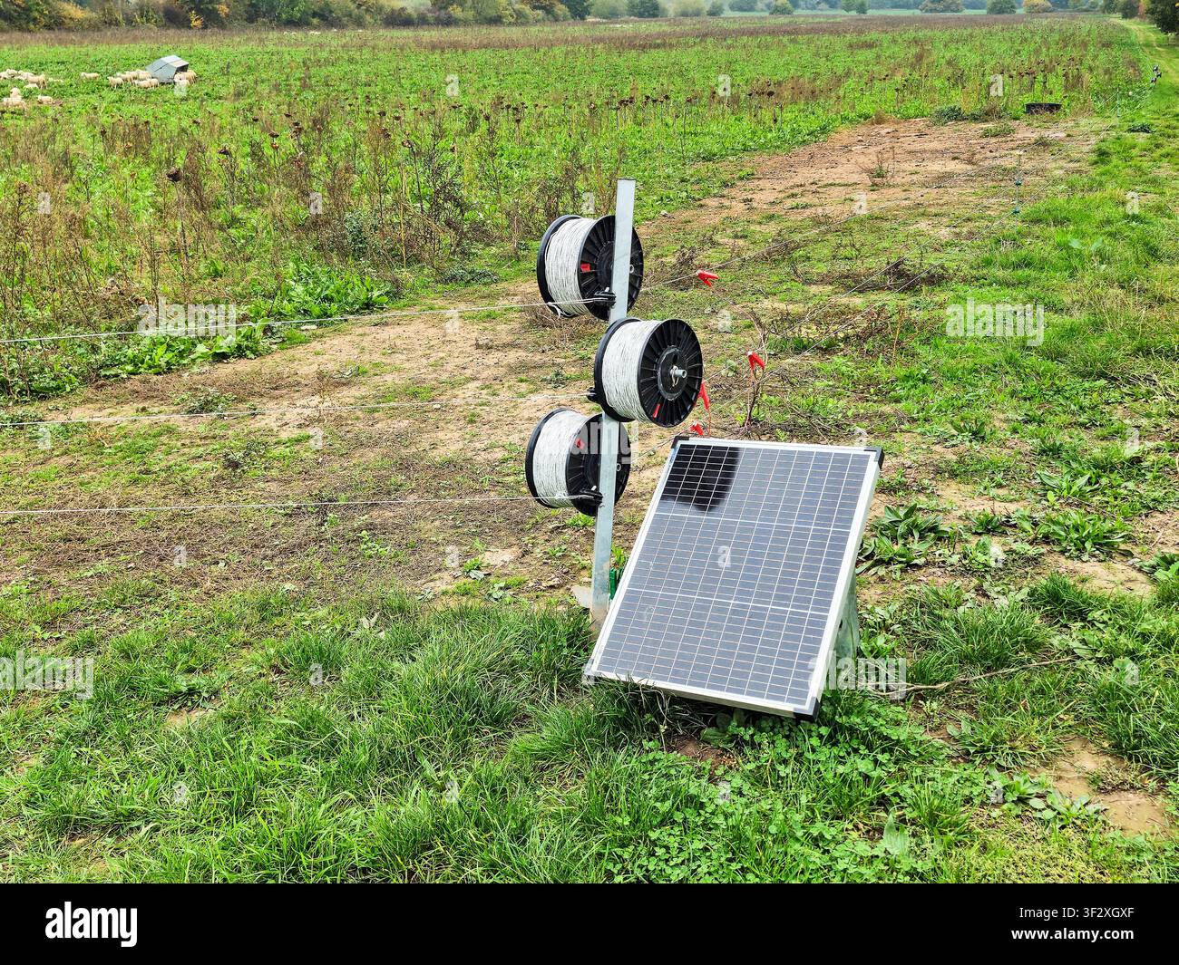 Un recinto elettrico alimentato a energia solare, con pannello solare, Inghilterra, Regno Unito Foto Stock