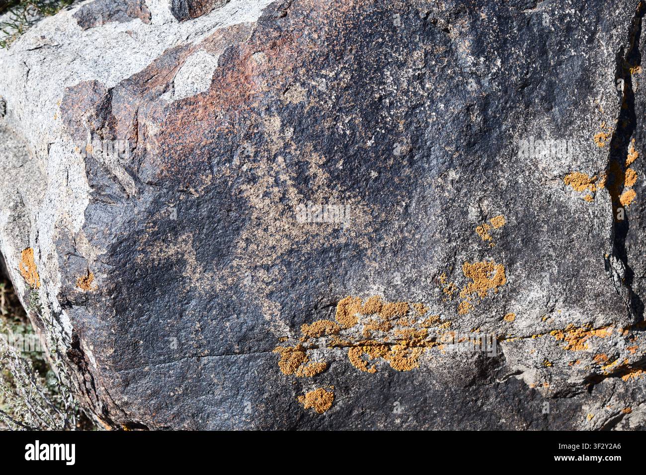 Piccola immagine realistica di un cammello bactriano. Un cavaliere seduto tra le gobbe tiene le redini del cammello. VI-X cc. d.C. Pitture rupestri di Cholpon Ata, Issyk Kul Foto Stock