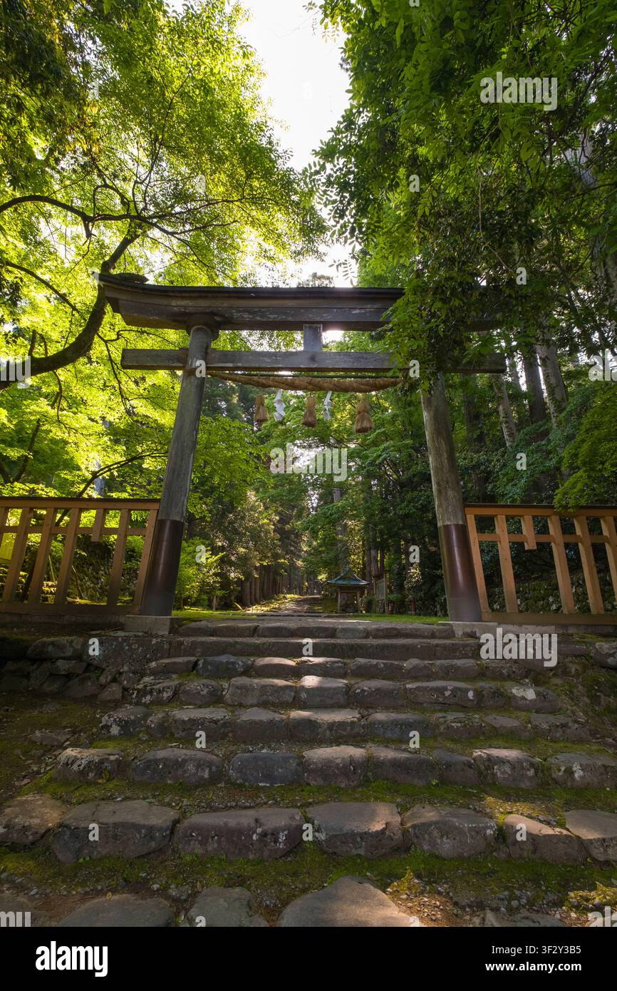 Il santuario shinto Heisenji Hakusan a Katsuyama, nella prefettura di Fukui, è un sereno santuario shintoista incastonato in una rigogliosa foresta. I visitatori salgono gradini di pietra per raggiungerlo Foto Stock