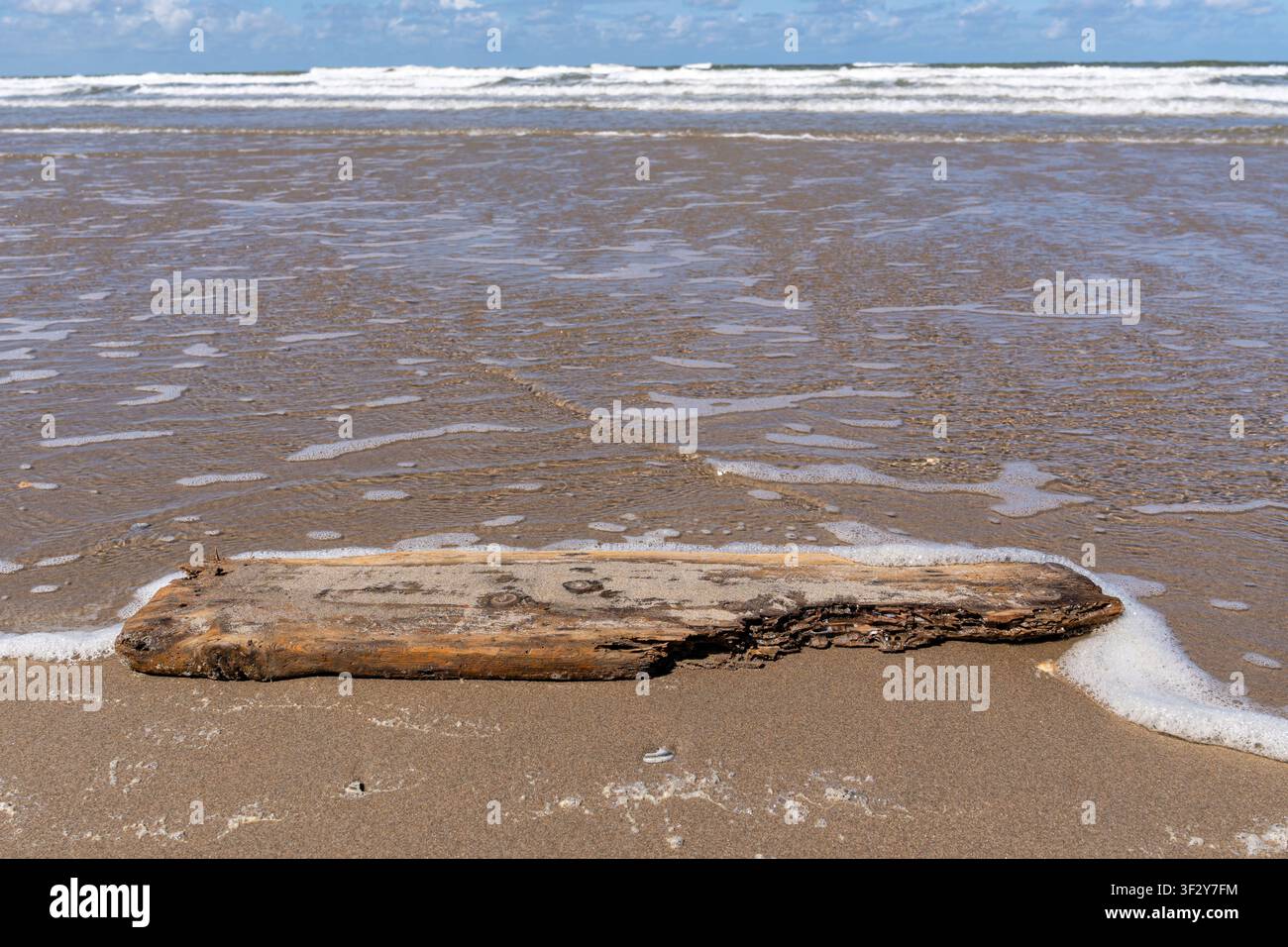 Pezzo di legno alla deriva appoggiato su una spiaggia sabbiosa Foto Stock