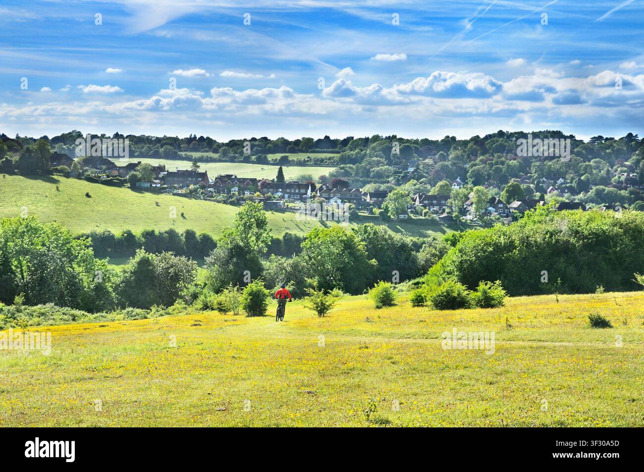 Farthing Downs, parte del sud di Londra Downs Riserva Naturale Nazionale, comprendente 121 acri di campagna lungo il confine del Surrey e Croydon, Regno Unito Foto Stock