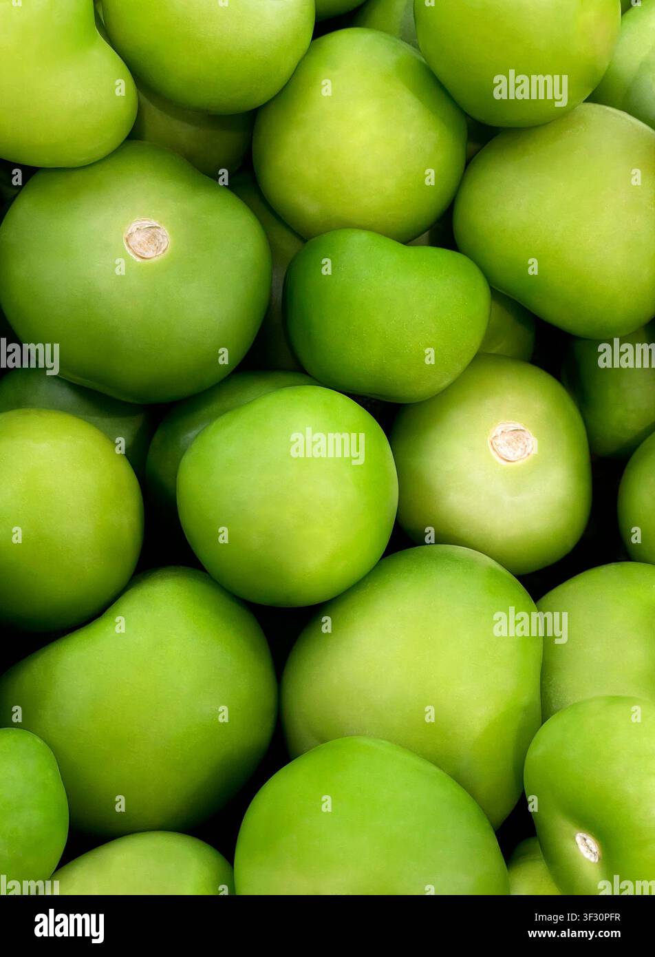 Motivo Pomodoro Tomatillo Verde Foto Stock