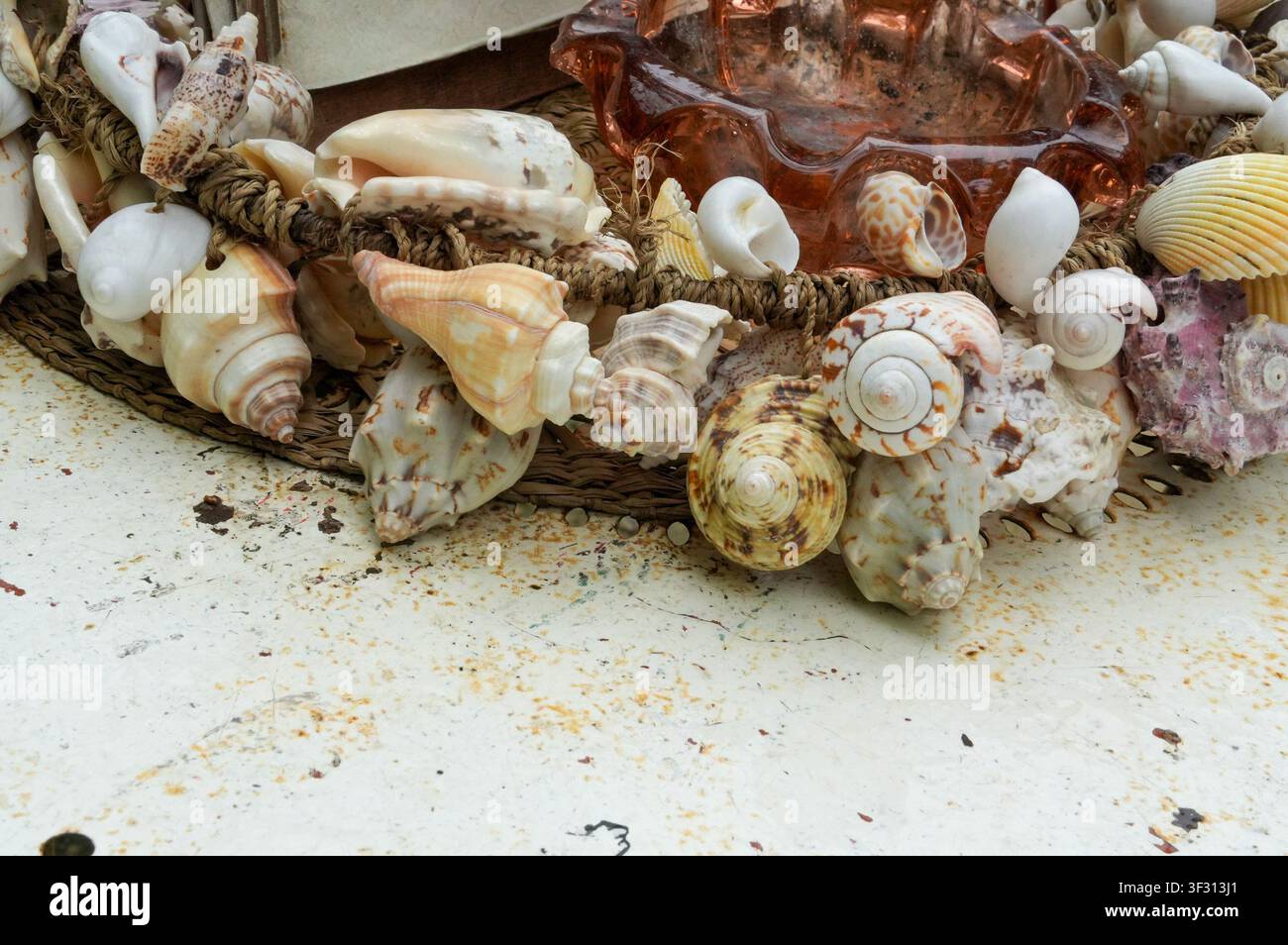 Decorazione da tavolo in stile nautico. Conchiglie sul tavolo. Foto Stock