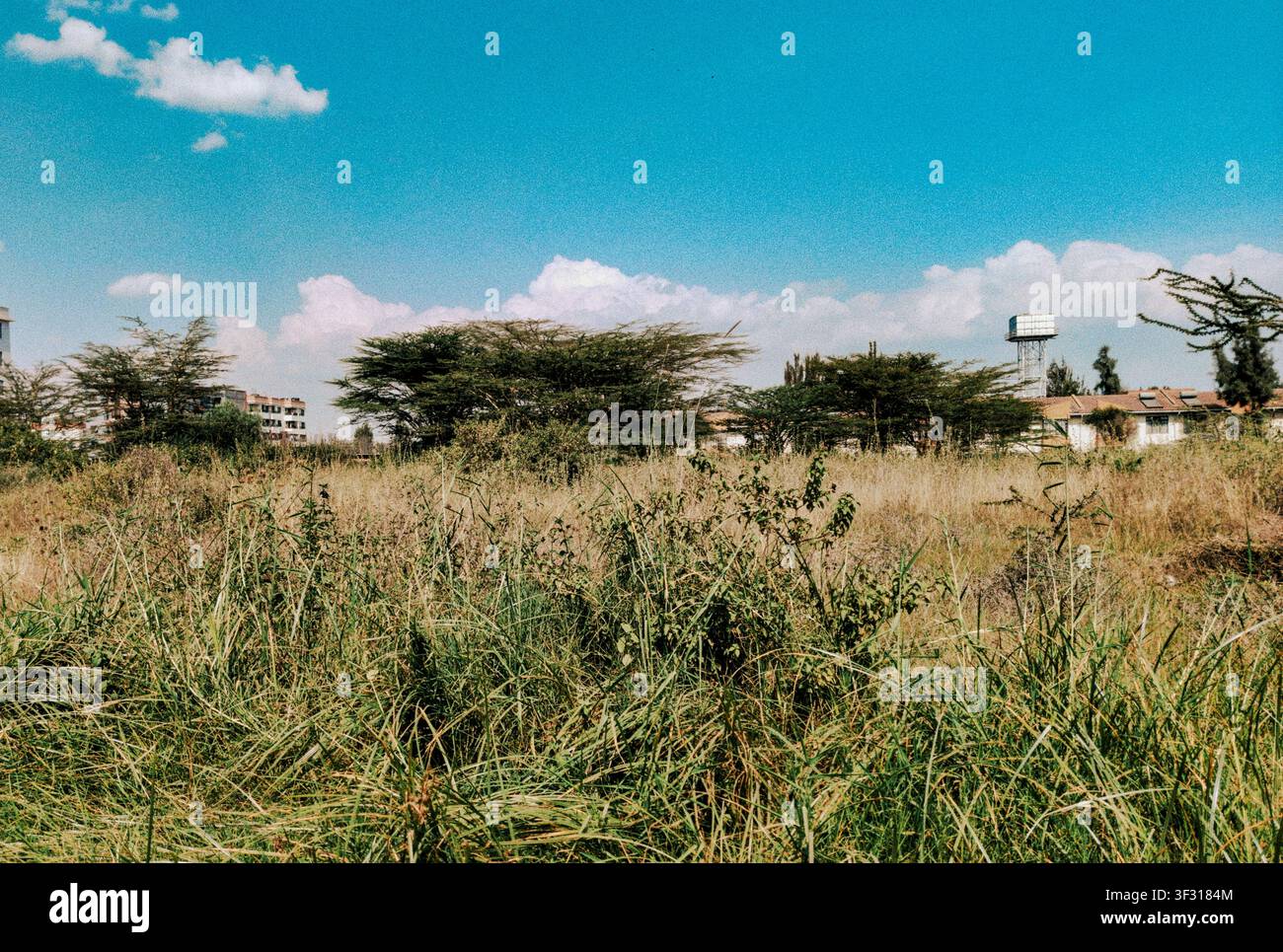 Campo erboso aperto con alberi di acacia e complessi residenziali sotto un cielo azzurro a Syokimau, Kenya Foto Stock