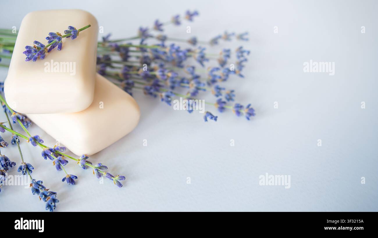 Due saponette sono posate accanto a fiori di lavanda su una superficie pulita. I fiori sono appena tagliati e disposti vicino al sapone. Foto Stock