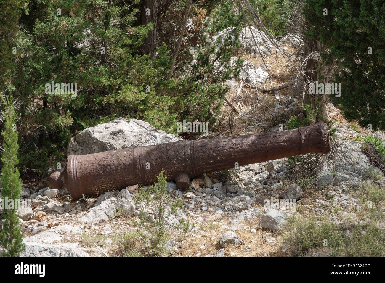 Cannone nel terreno della fortezza veneziana in rovina ad Assos, sull'isola di Cefalonia, Grecia Foto Stock