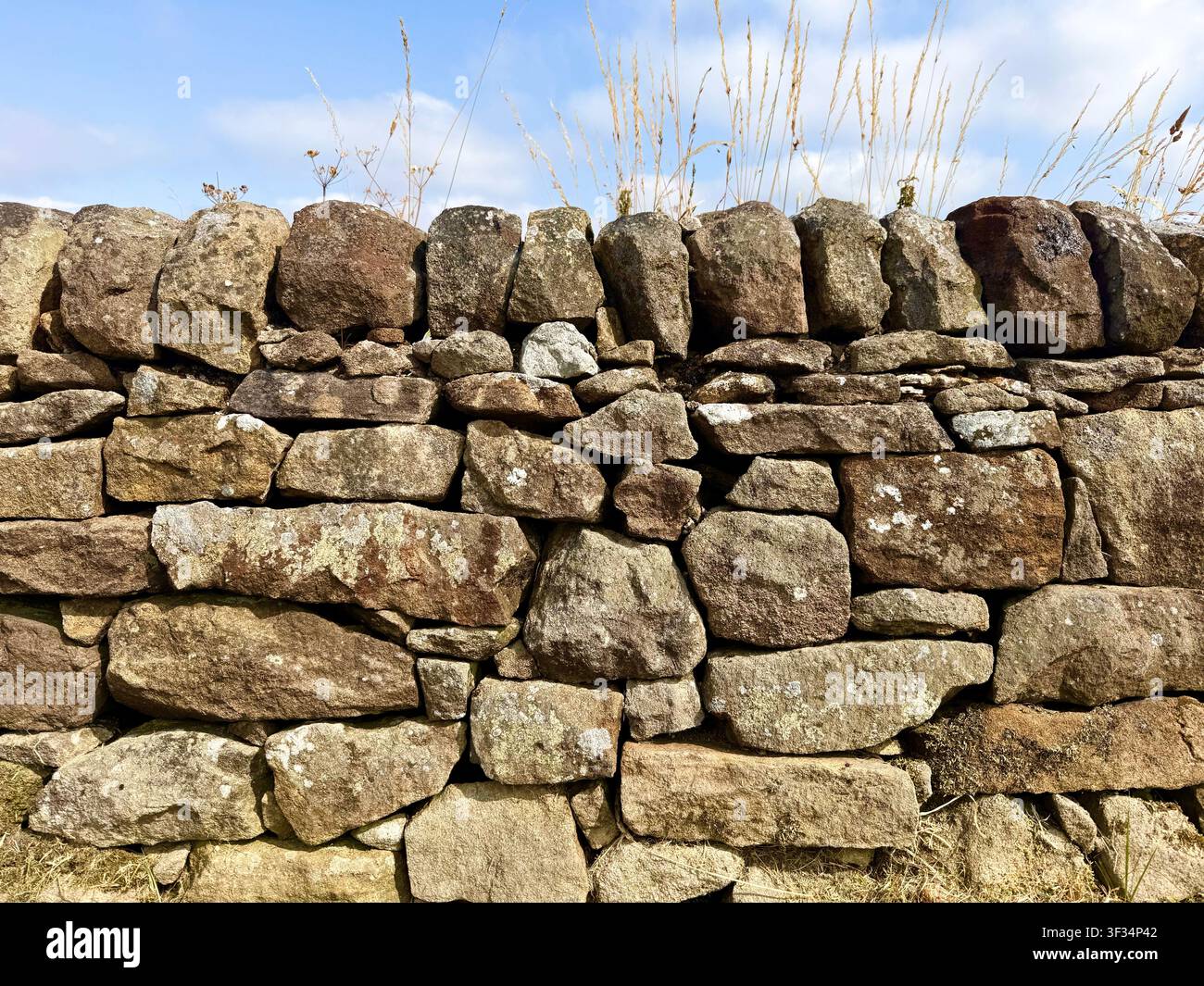 Muro a secco in una fattoria in Inghilterra, U.K. Foto Stock