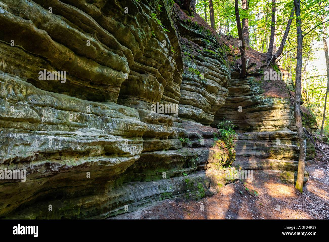 Scenografiche scogliere di arenaria che si innalzano attraverso una gola boscosa nel Matthiessen State Park dell'Illinois Foto Stock