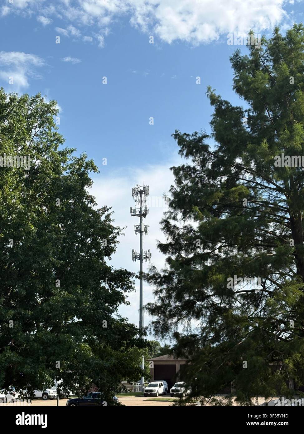 Torre per cellulari tra gli alberi Foto Stock