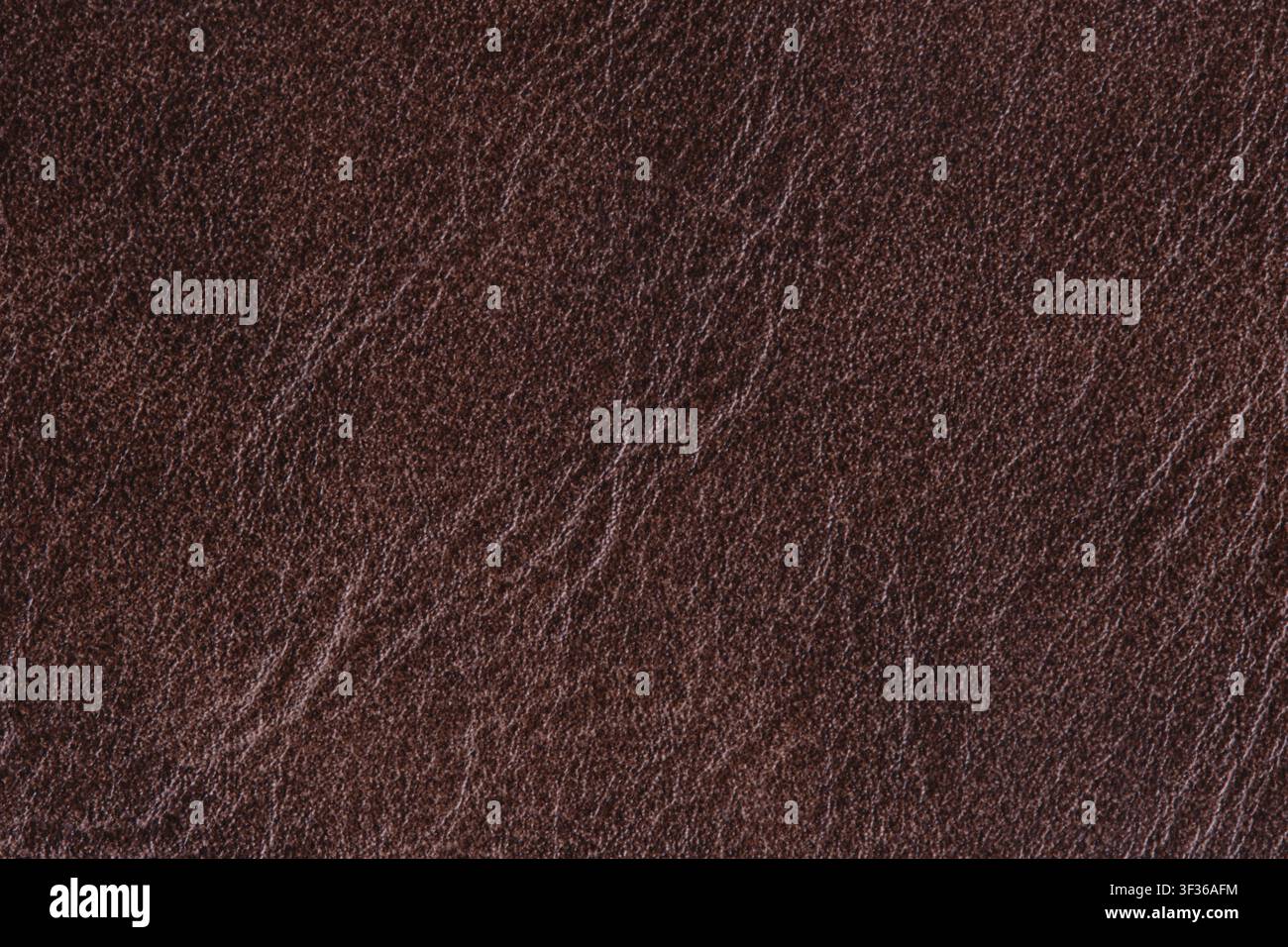 Texture in pelle genuina marrone scuro a distanza ravvicinata, ripresa macro di materiale naturale come sfondo per il design Foto Stock