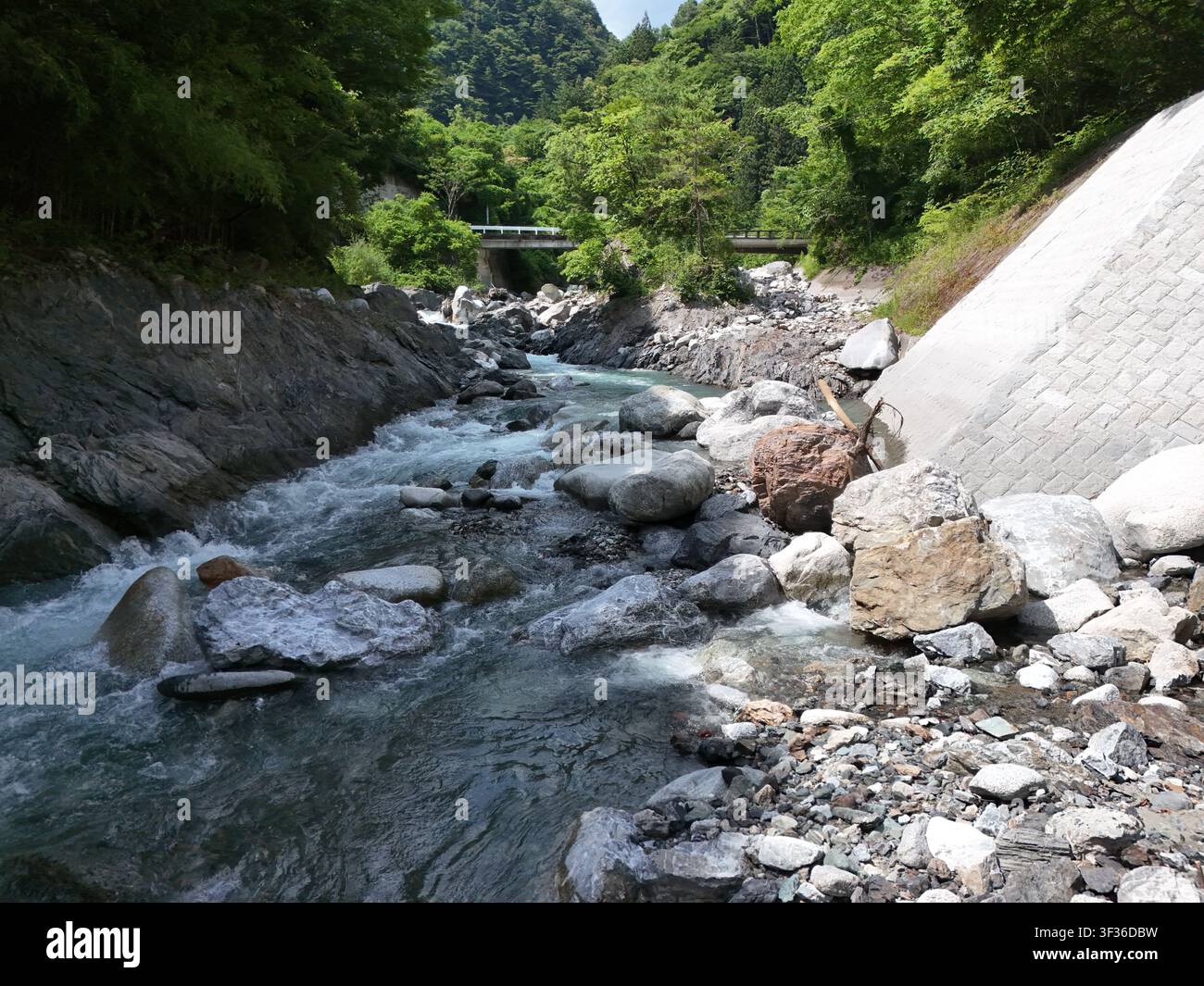 Ruscello impetuoso che scorre su pietre lisce Foto Stock