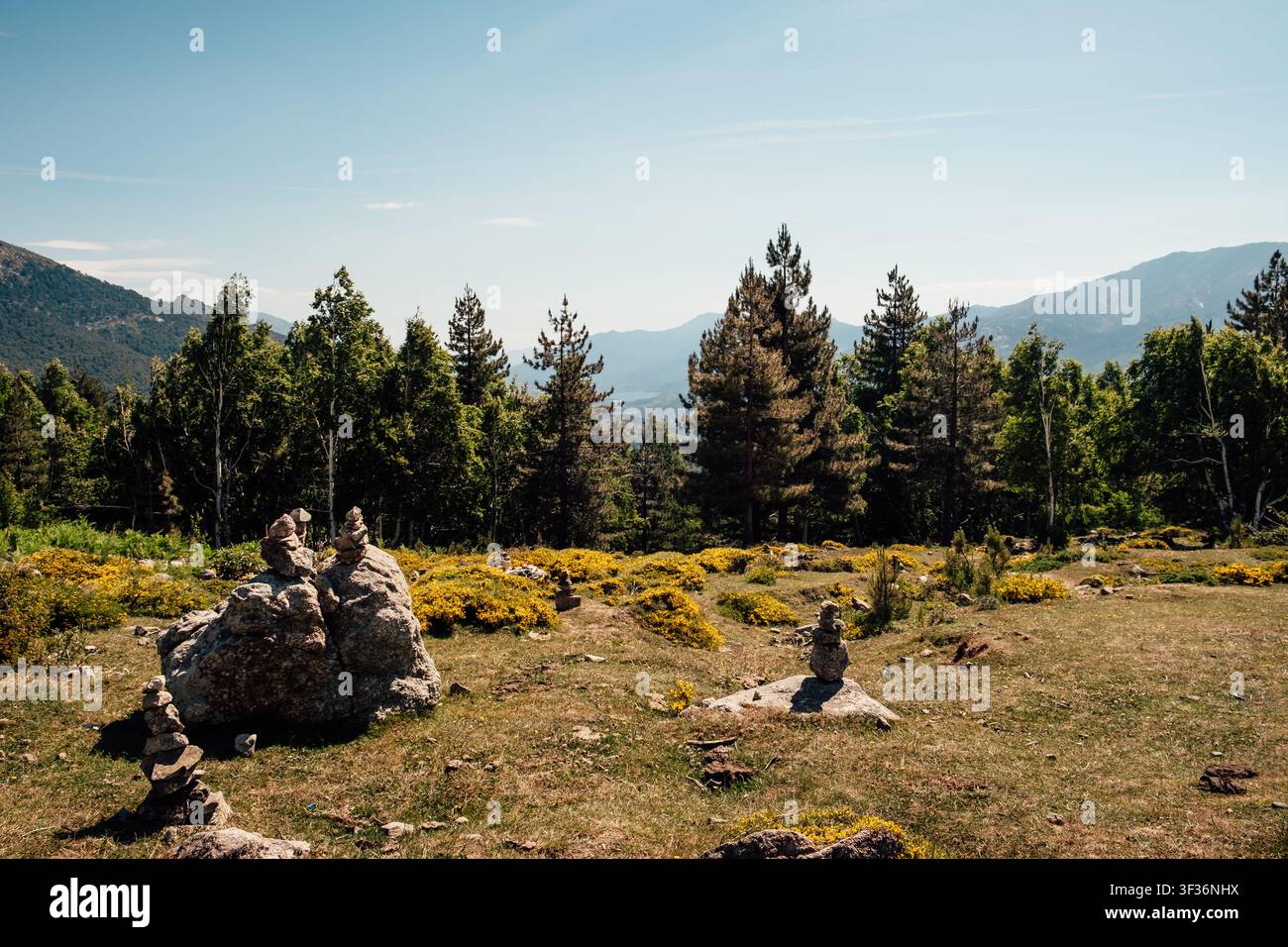 Paesaggio di alta montagna corsi con fiori selvatici e parete rocciosa ripida in estate Foto Stock