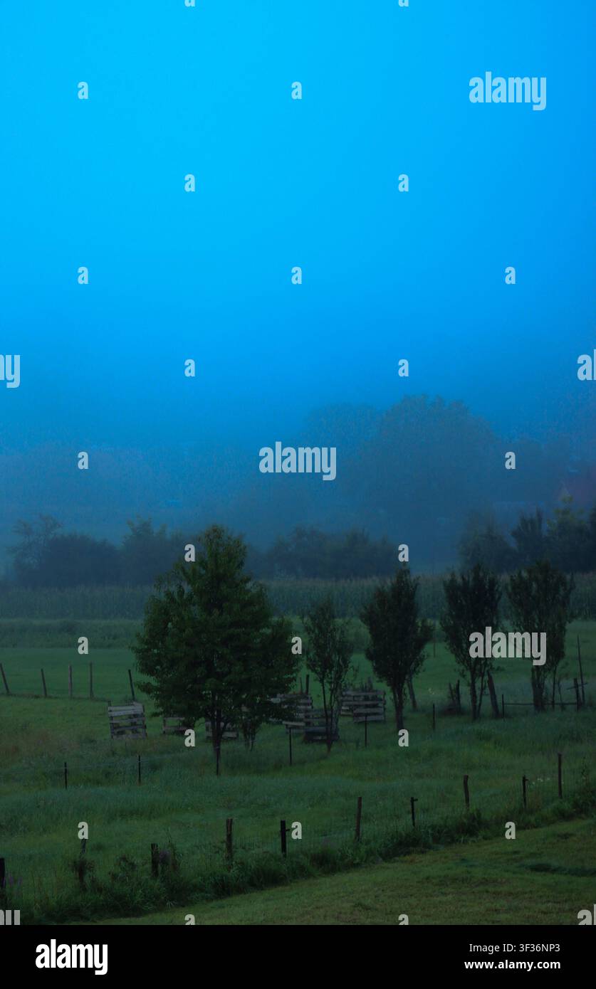 La natura in Europa Foto Stock
