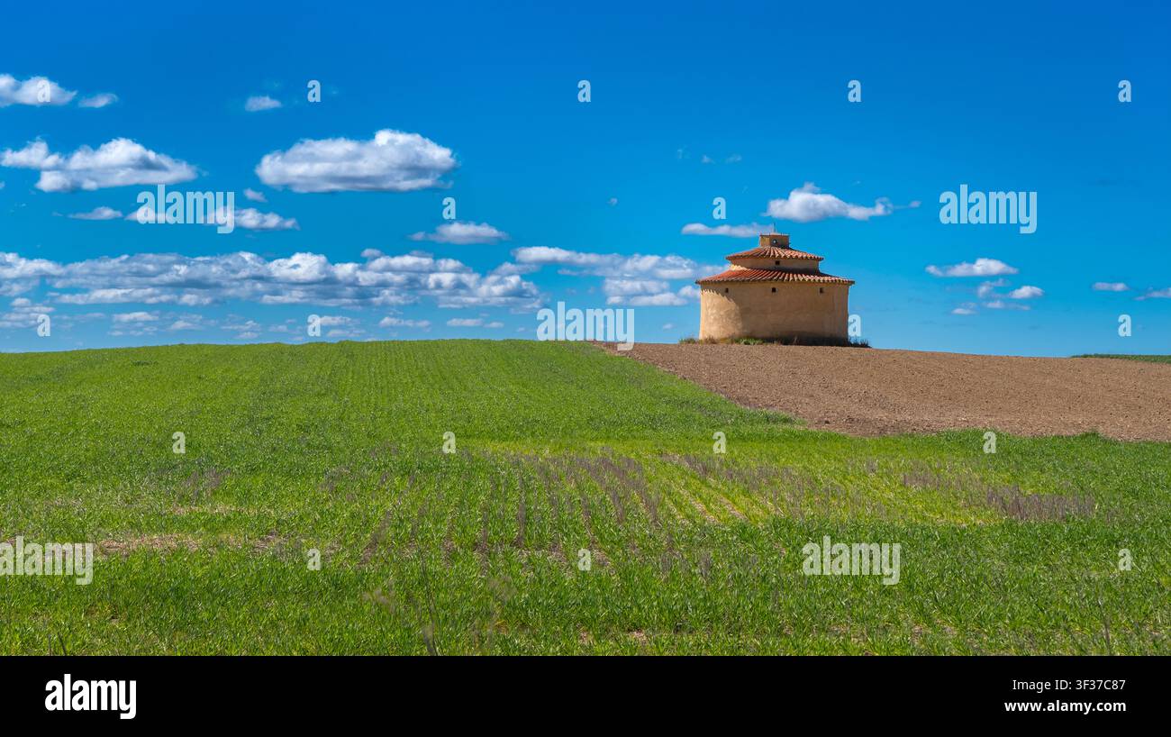 Campi agricoli, Riserva naturale Lagunas de Villafáfila, Natura 2000, Zamora, Castiglia e León, Spagna, Europa Foto Stock