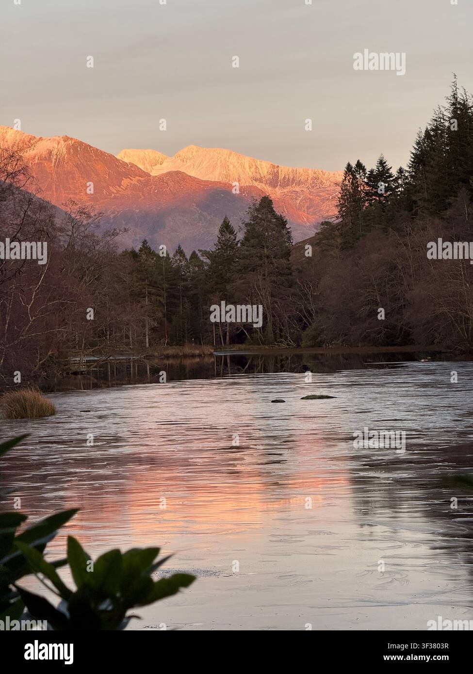 Bagliore alpino al tramonto su Glencoe Lochan, Highlands scozzesi. Le cime innevate si riflettono nell'acqua calma. Pino scozzese. Inverno, Scozia, Regno Unito. - Immagine stock catturata con smartphone