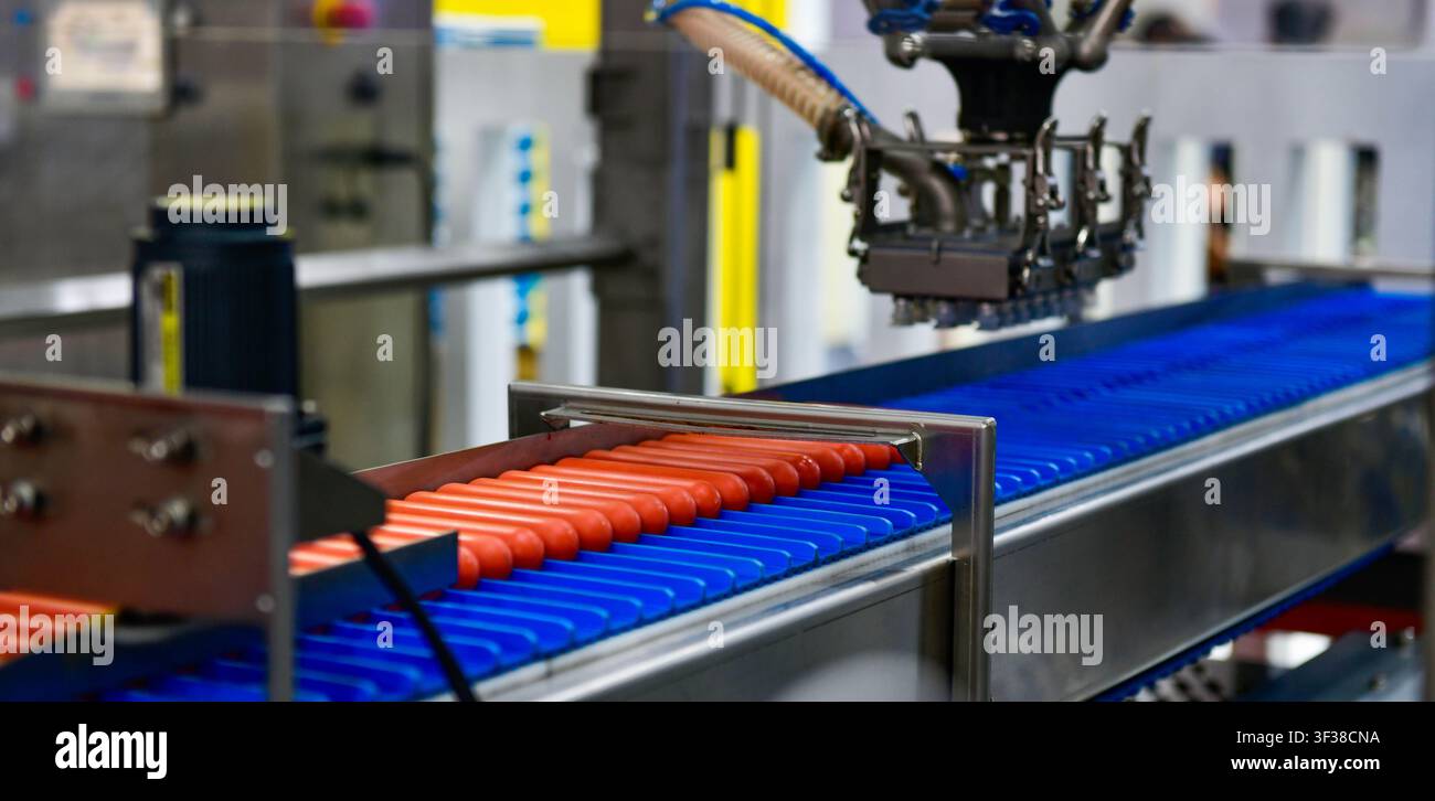 Macchinario industriale moderno per la produzione di salsicce che elabora prodotti freschi su una linea di trasporto automatizzata Foto Stock