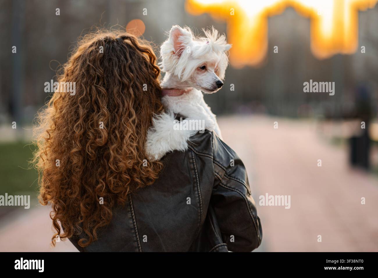 Donna che tiene il cane in città durante il tramonto Foto Stock